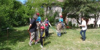 Découverte de l'âne des Cévennes, dans le Gard Découverte de l'âne des Cévennes